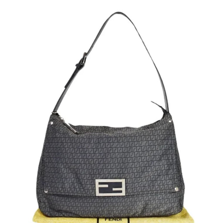 Pre-owned Fabric fendi-bags Fendi Vintage