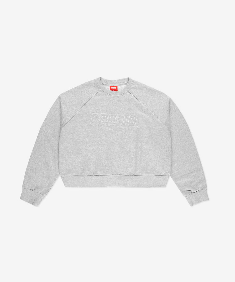 Crewneck Boxsy Gray