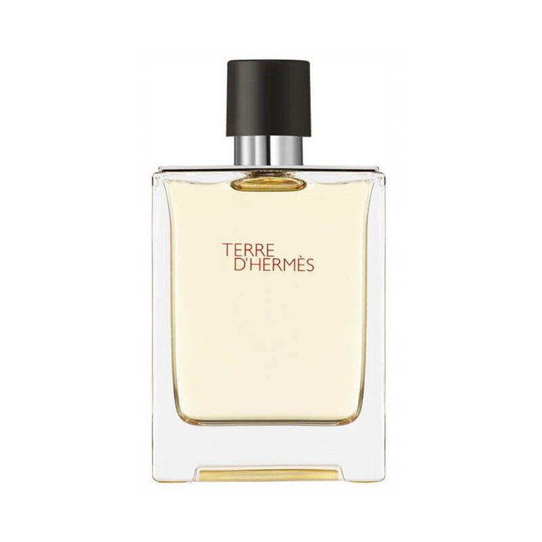 HERMÈS Terre DHermes 100 ml