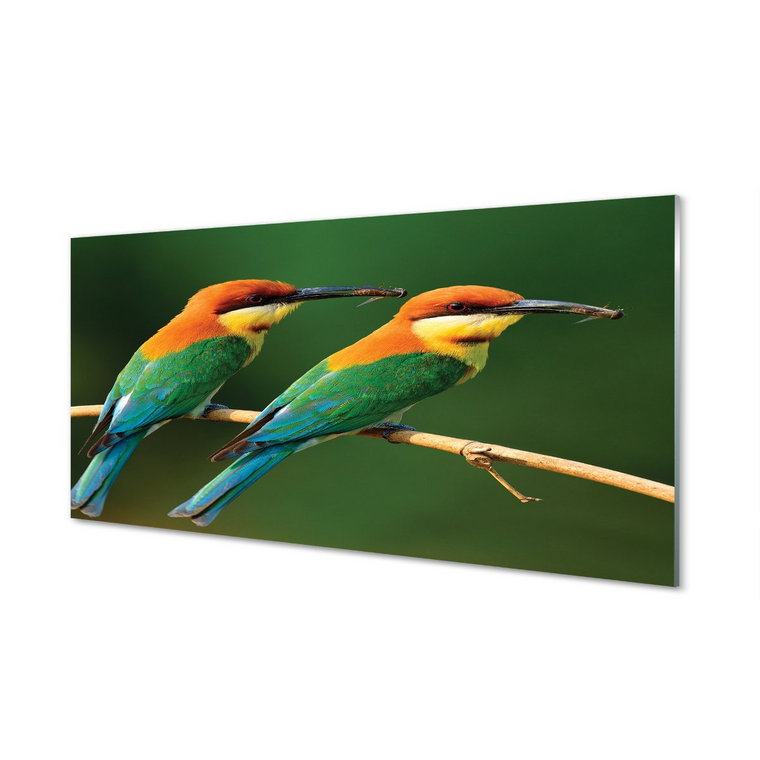 Lacobel szkło Kolorowe papugi na gałęzi 120x60 cm