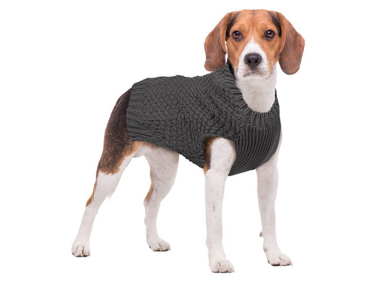 zoofari Sweter dla psa, z dzianiny (35, Szary)