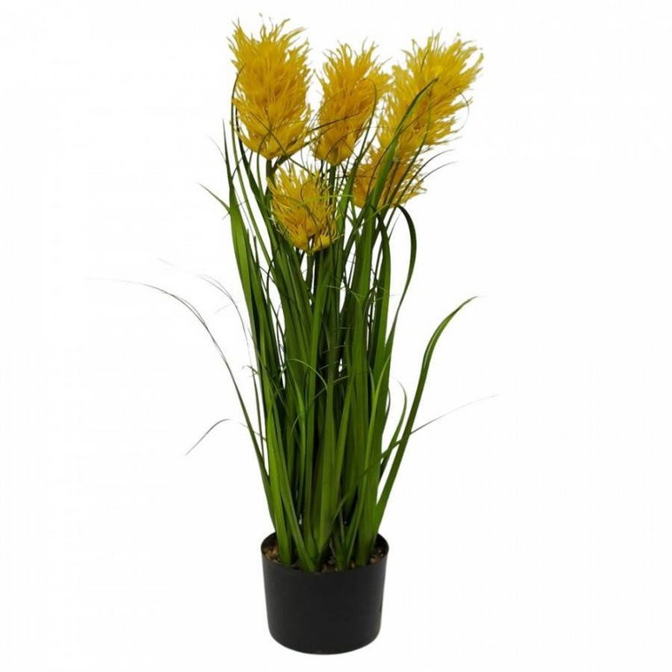 Kwiaty dekoracyjne Trawa ala pampasowa z żółtym dodatkiem jak w opisie