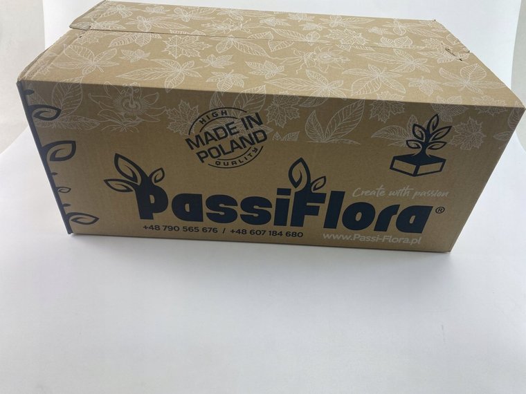 GĄBKA FLORYSTYCZNA PASSIFLORA SUCHA 20SZT