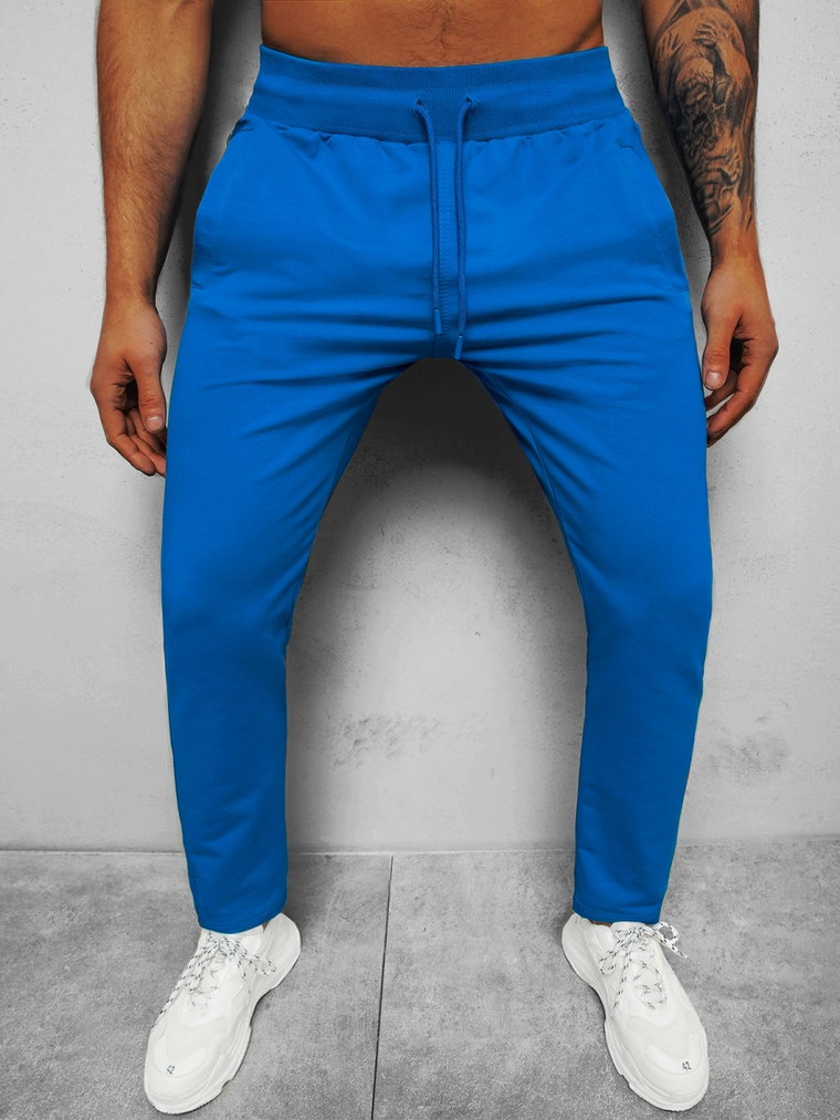 Spodnie dresowe męskie niebieskie b/18203022