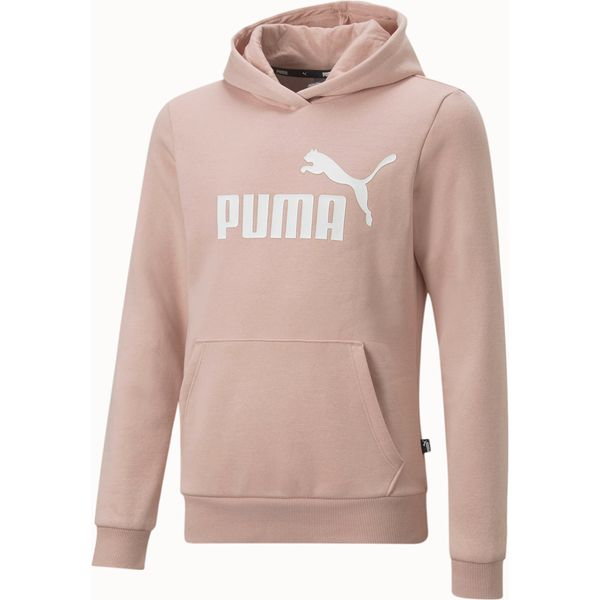 Bluza juniorska Essentials Logo Hoodie Puma