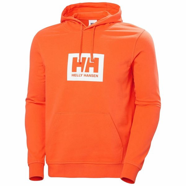 Bluza męska Box Hoodie Helly Hansen