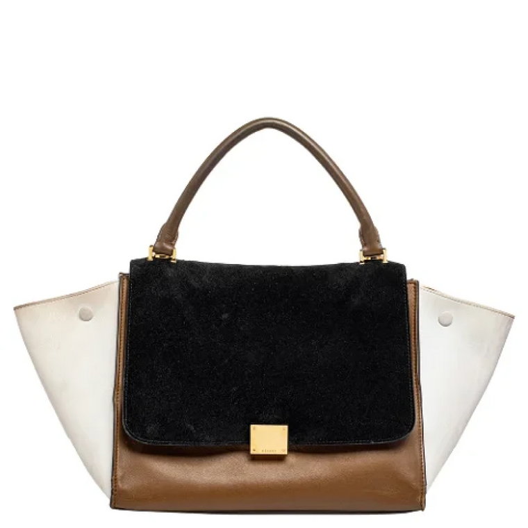 Pre-owned Suede handbags Celine Vintage