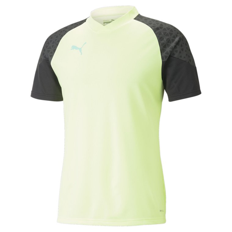 Podkoszulek Puma Individualcup Training Jersey, Mężczyźni