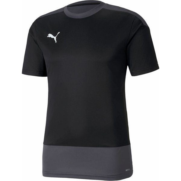 Koszulka męska teamGOAL 23 Training Jersey Puma