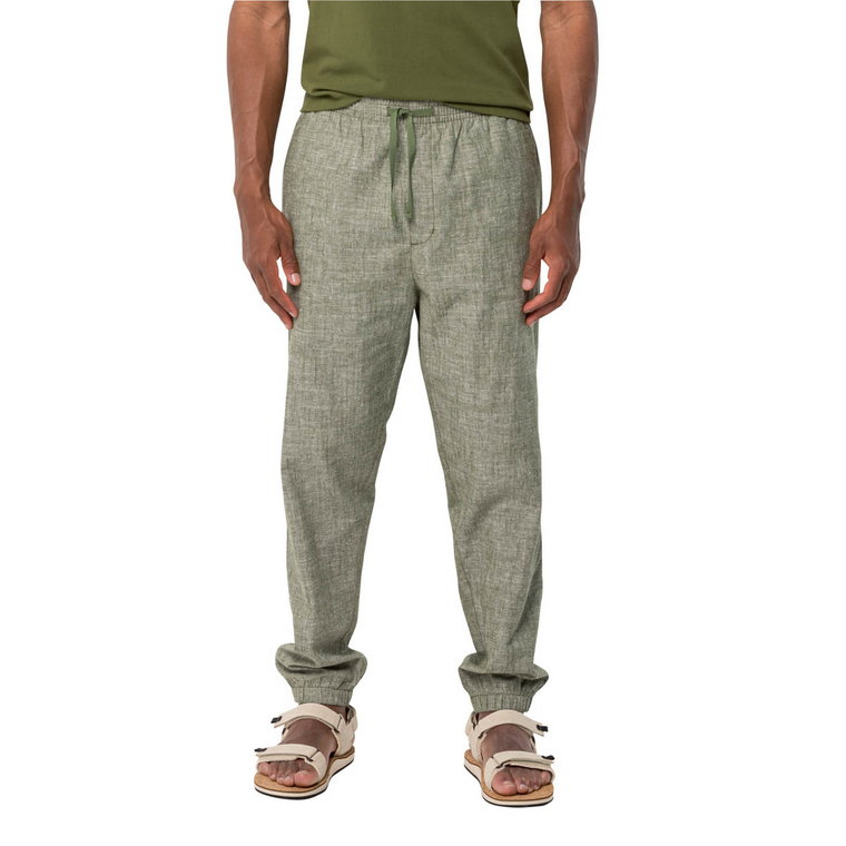 Męskie spodnie Jack Wolfskin SANDROUTE PANTS M greenwood - XXL