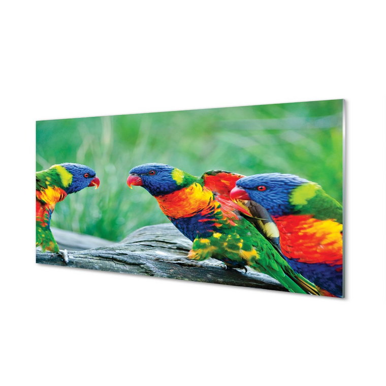 Szklany panel + klej Kolorowe papugi drzewo 120x60