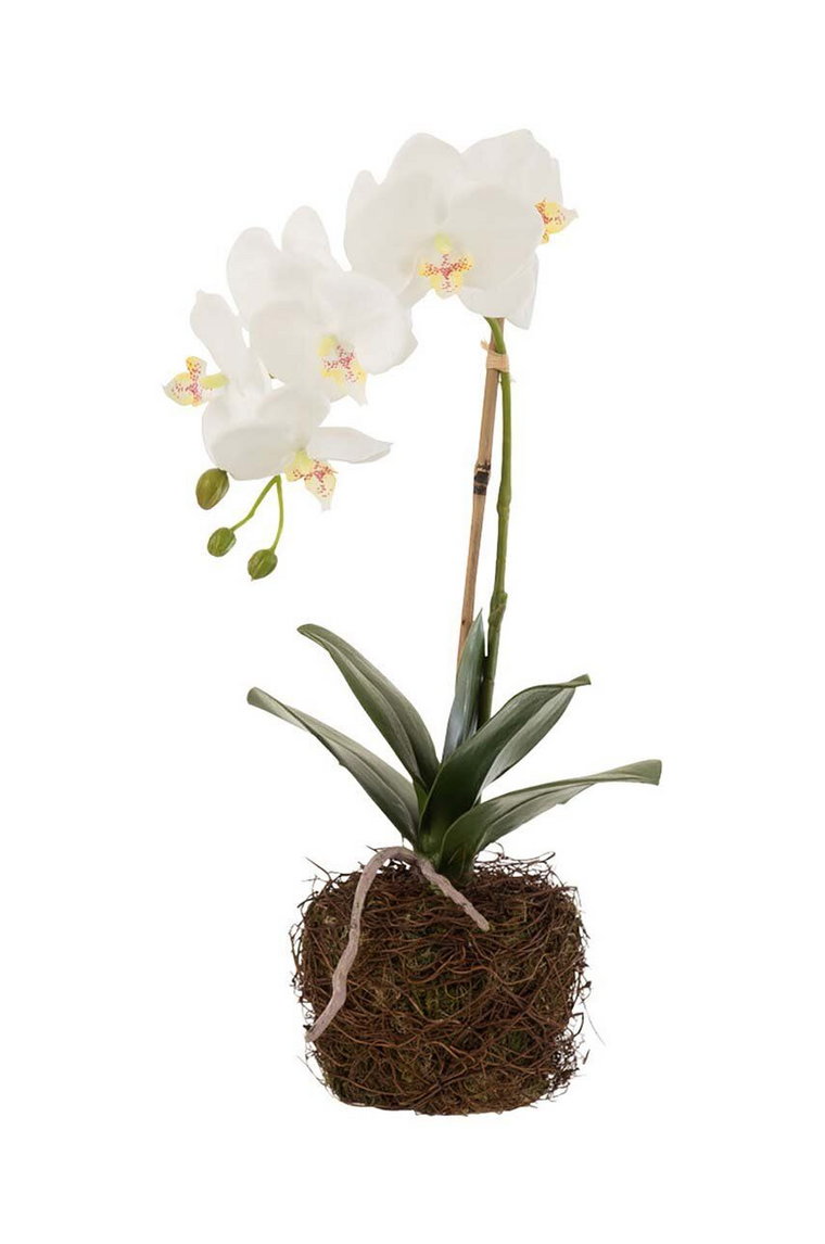J-Line sztuczna roślina Orchid In Soil