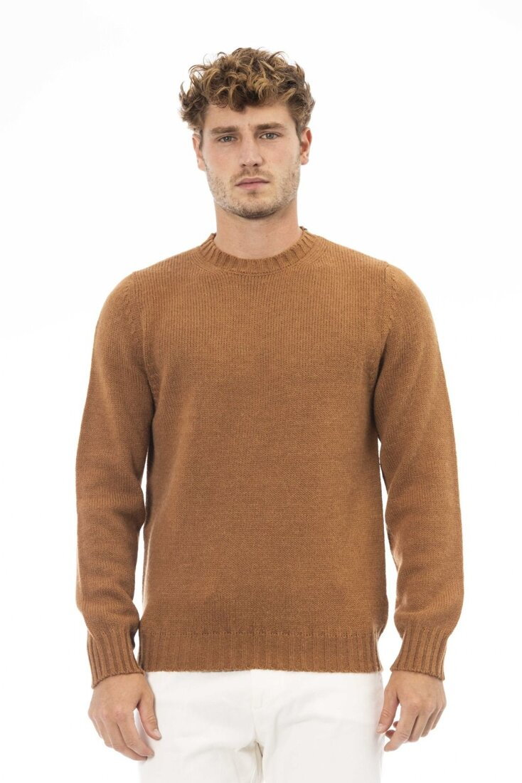 Swetry marki Alpha Studio model AU7611CP kolor Brązowy. Odzież męska. Sezon: