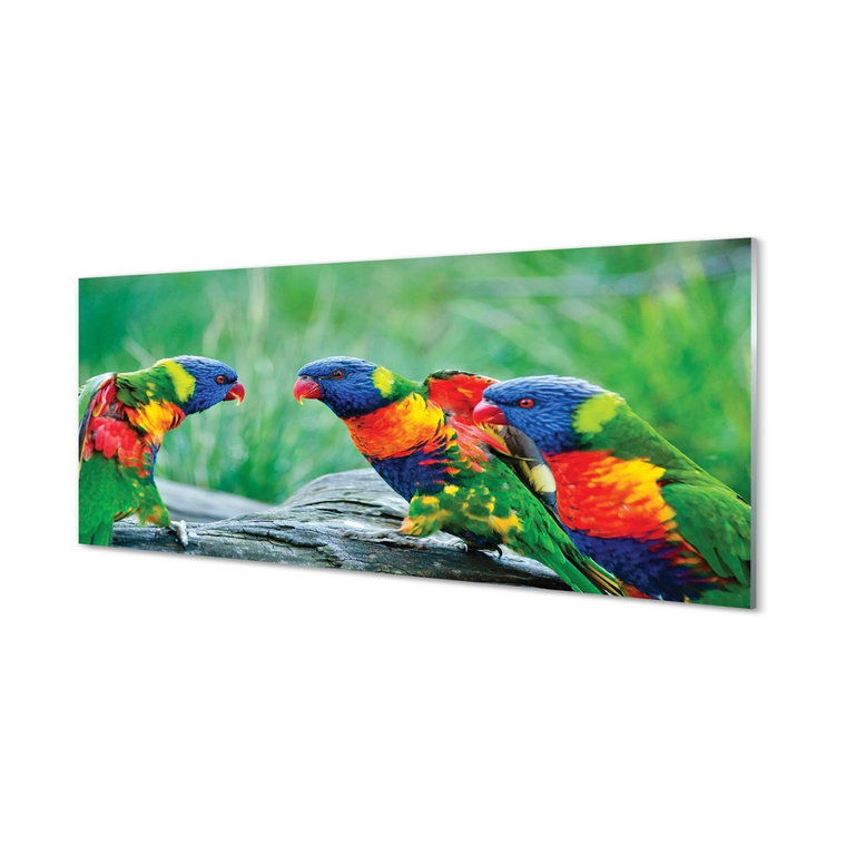 Szklany panel + klej Kolorowe papugi drzewo 125x50 cm
