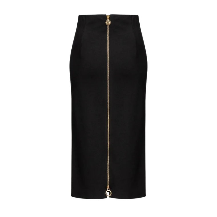 Pencil Skirts Pinko