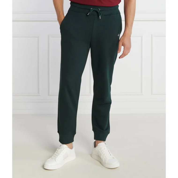 Gant Spodnie dresowe | Regular Fit