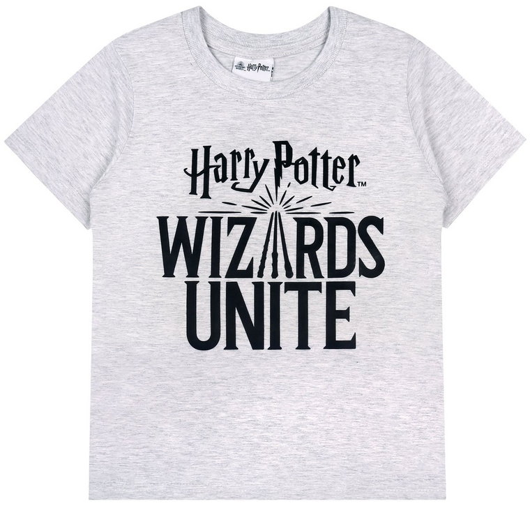 Szara bluzka na krótki rękaw z nadrukiem Harry Potter 9-10 lat 140 cm