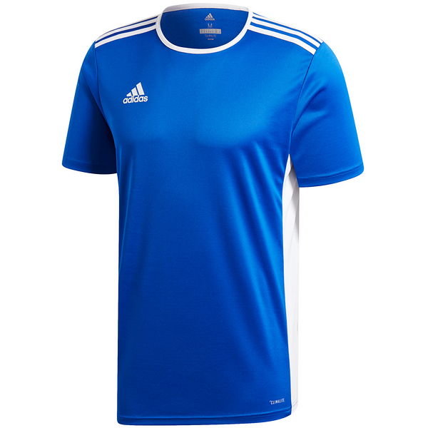 Koszulka młodzieżowa Entrada 18 Jersey Adidas