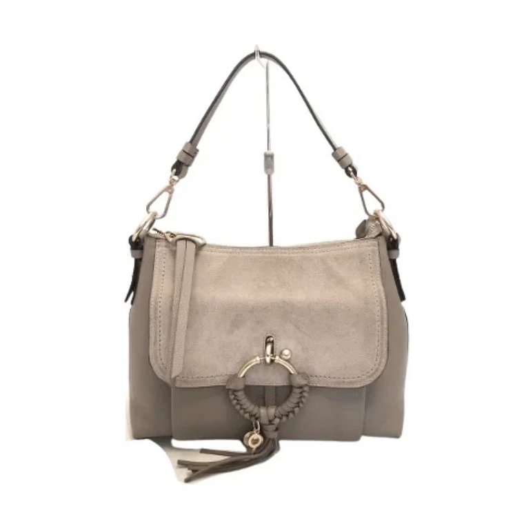 Pre-owned Leather shoulder-bags Chloé Pre-owned