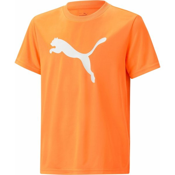 Koszulka juniorska Active Sports Poly Cat Tee B Puma