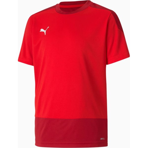 Koszulka juniorska teamGOAL 23 Training Jersey Puma