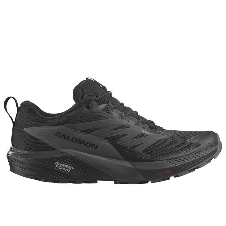 Buty Salomon Sense Ride 5 Gore-Tex L47147200 - czarne