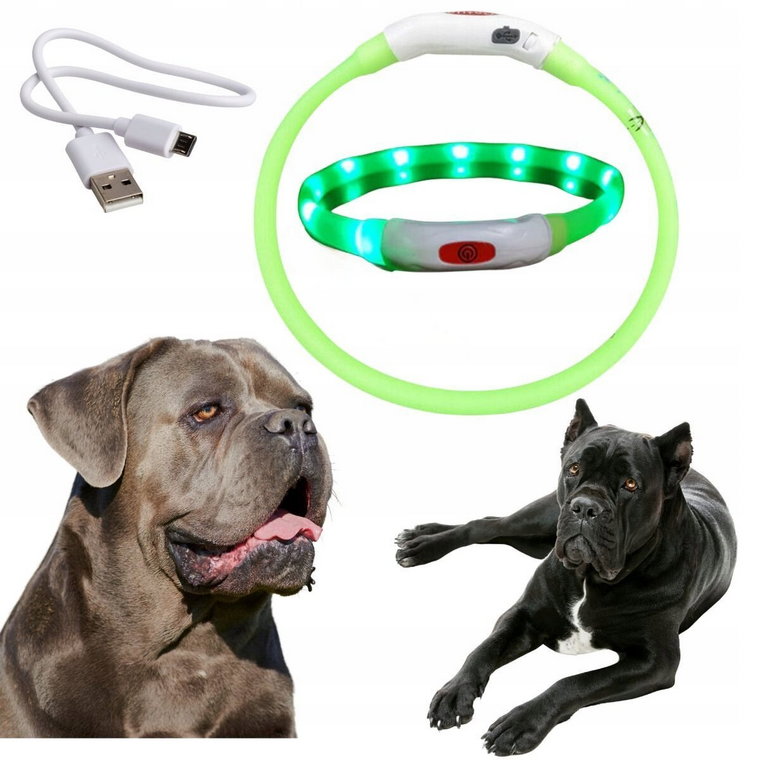 Obroża dla psa LED świecąca ładowana usb max 68cm