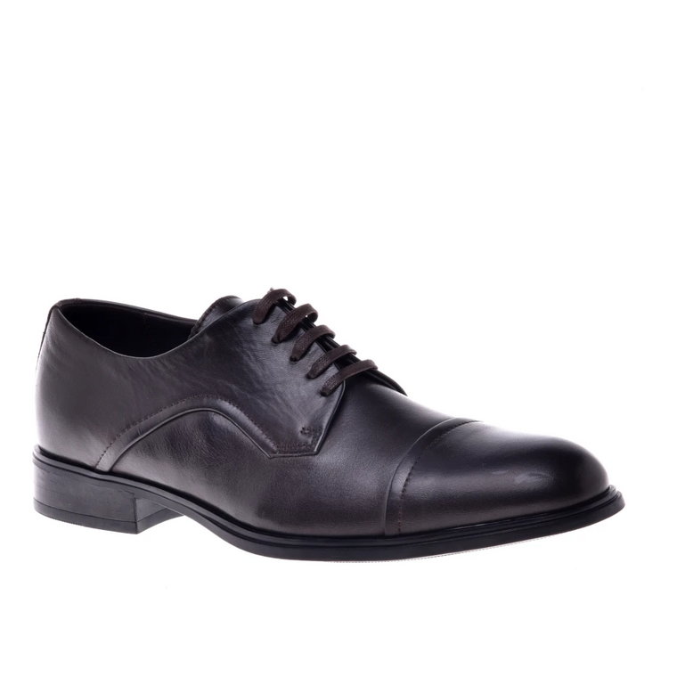 Lace-up in dark brown calfskin Baldinini