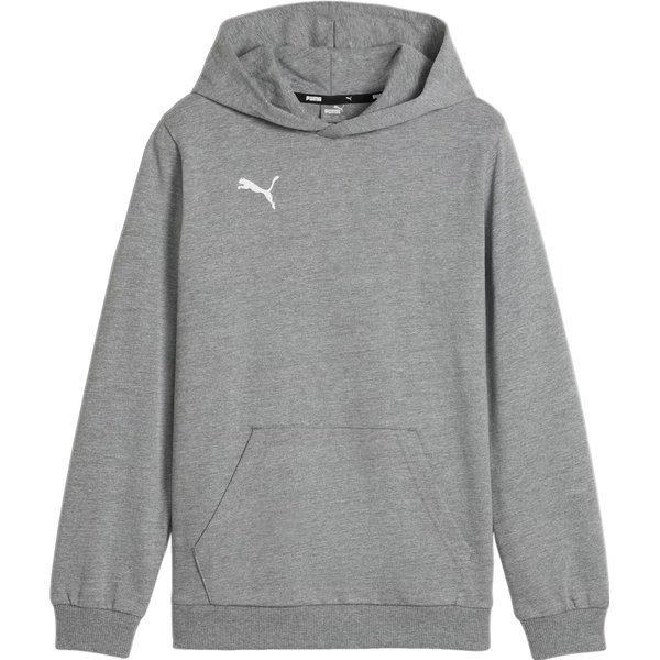 Bluza juniorska TeamGOAL Casuals Hoody Jr Puma