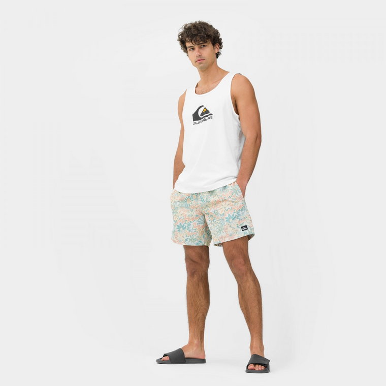 Męskie spodenki plażowe Quiksilver Re-Mix 17" Volleys - multikolor