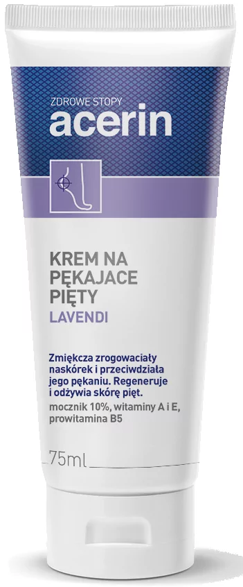 Zdjęcie główne