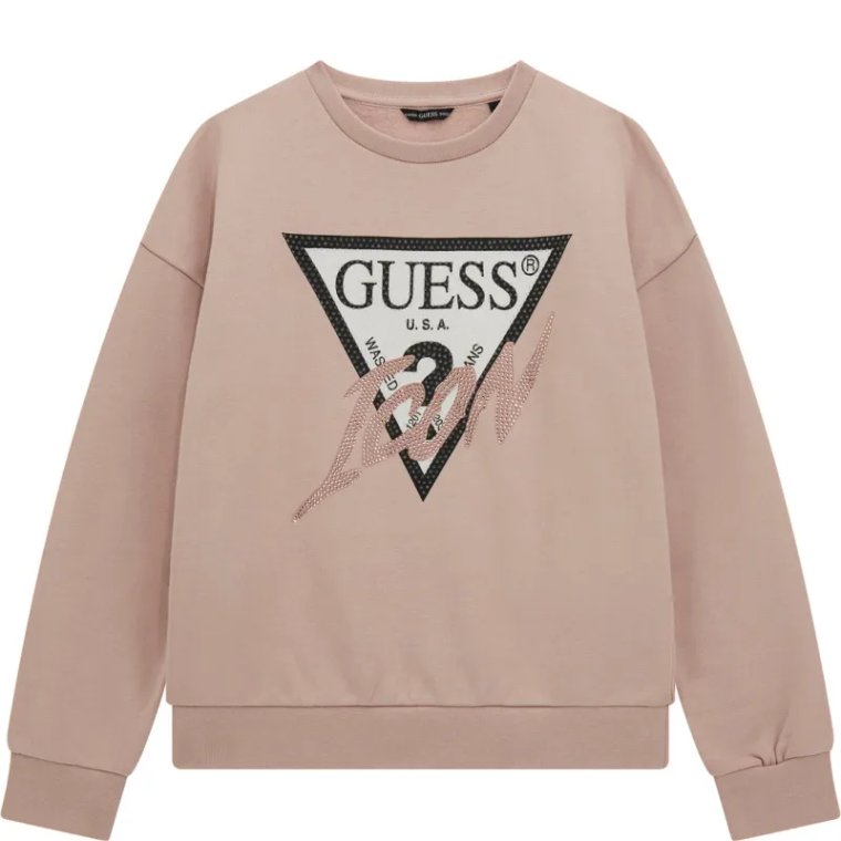 Guess Bluza | Regular Fit