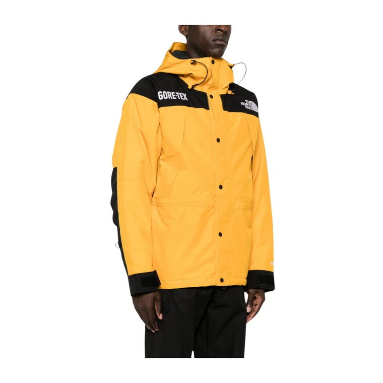 Złota Parka Męska Aw23 The North Face