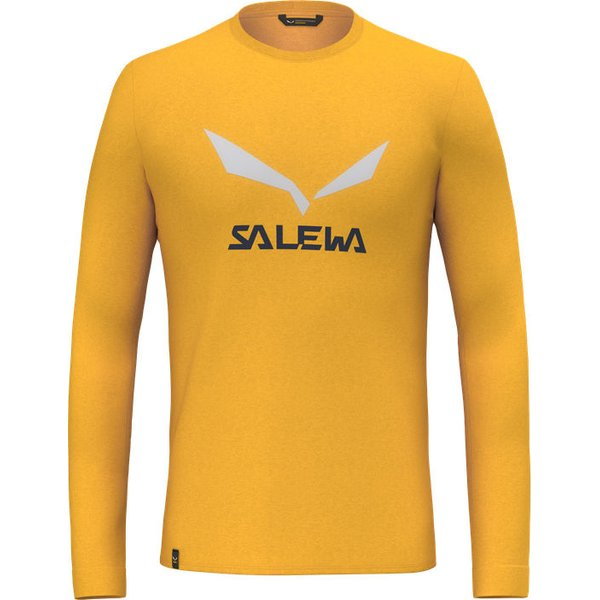 Longsleeve męski Solidlogo Dry Salewa