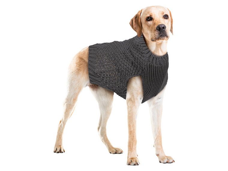 zoofari Sweter dla psa, z dzianiny