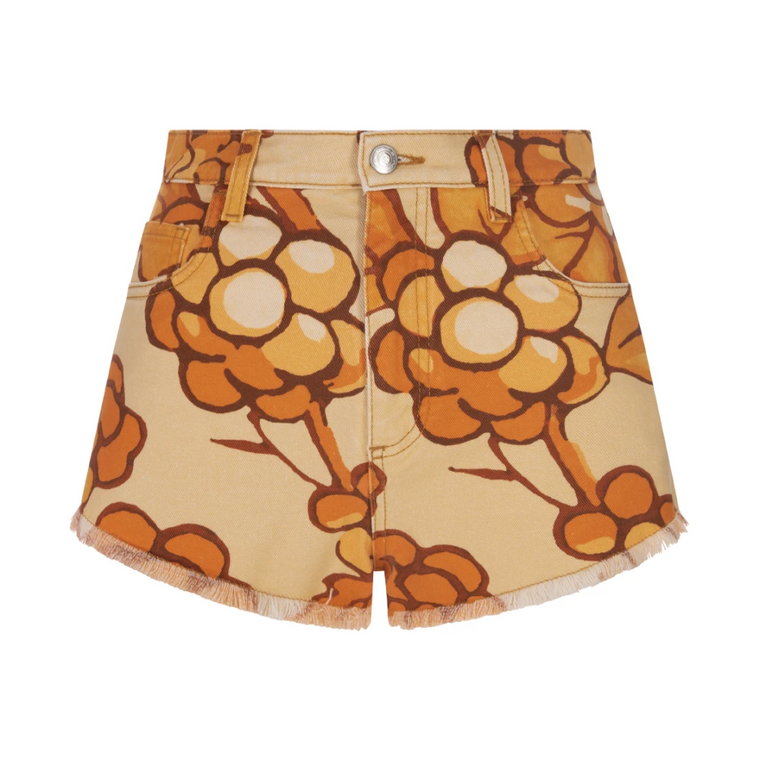 Short Shorts Etro