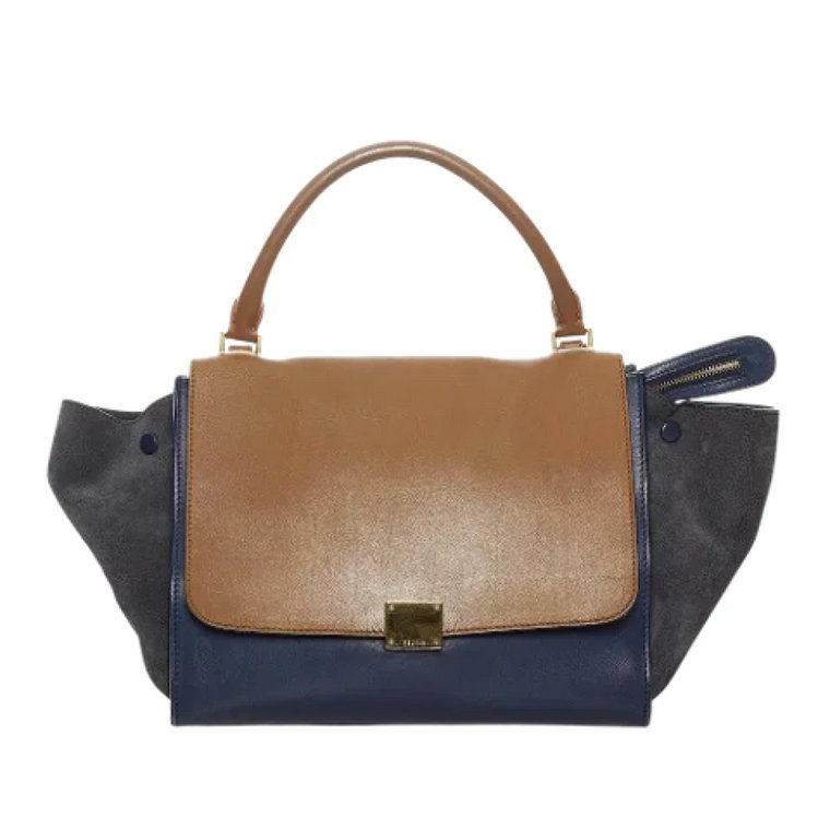 Pre-owned Leather celine-bags Celine Vintage