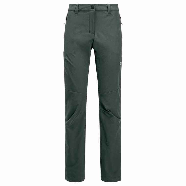 Damskie spodnie softshellowe Jack Wolfskin HOLDSTEIG PANTS W slate green - 44S