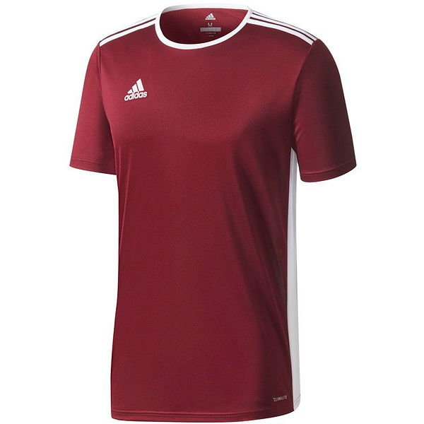 Koszulka młodzieżowa Entrada 18 Jersey Adidas