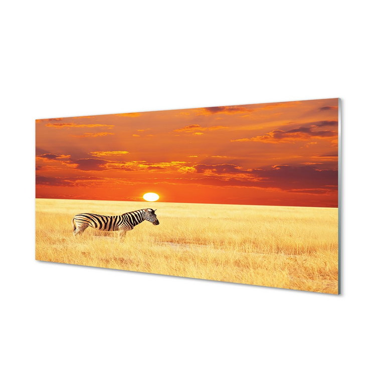 Szklany panel Zebra pole zachód słońca 120x60 cm