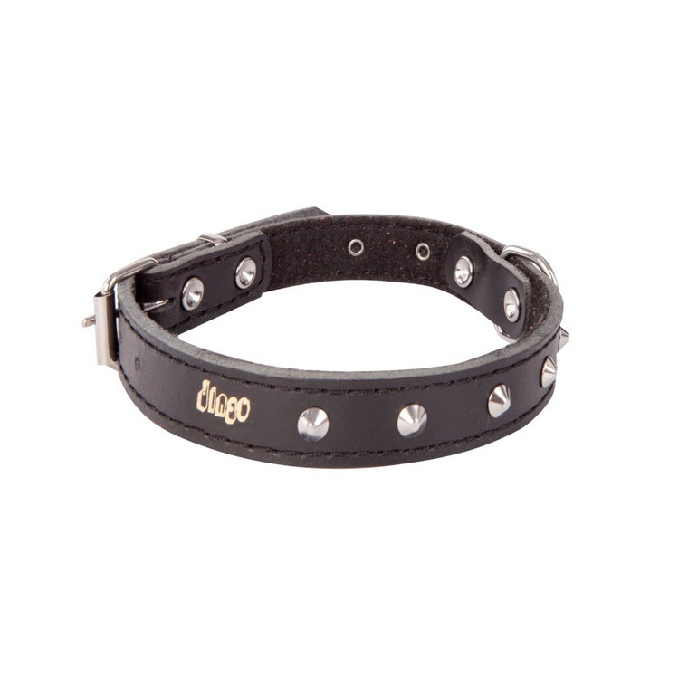 Dingo Obroża skórzana z ćwiekami dla psa CLASSIC czarna 1,8 x 50 cm