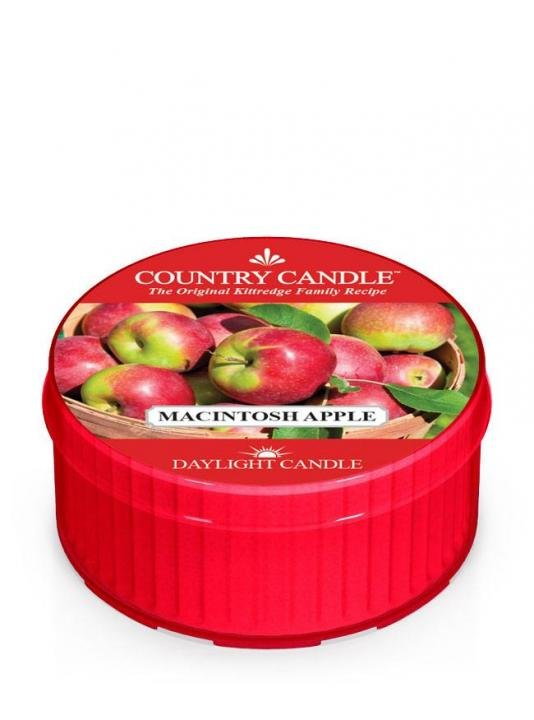 Country Candle, Macintosh Apple, świeca zapachowa daylight, 1 knot