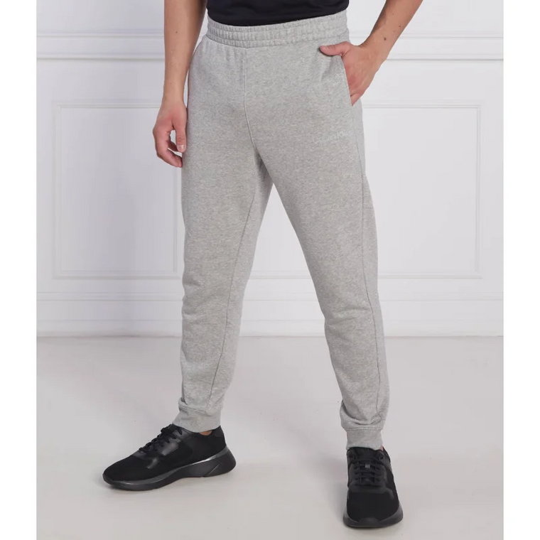 Calvin Klein Performance Spodnie dresowe | Regular Fit