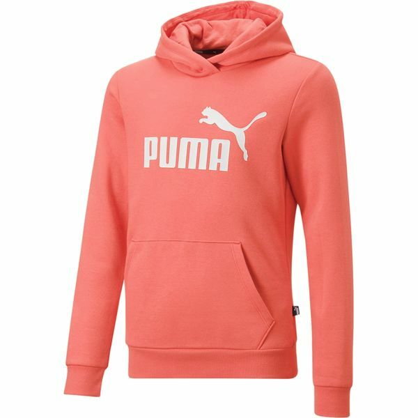 Bluza juniorska Essentials Logo Hoodie Puma
