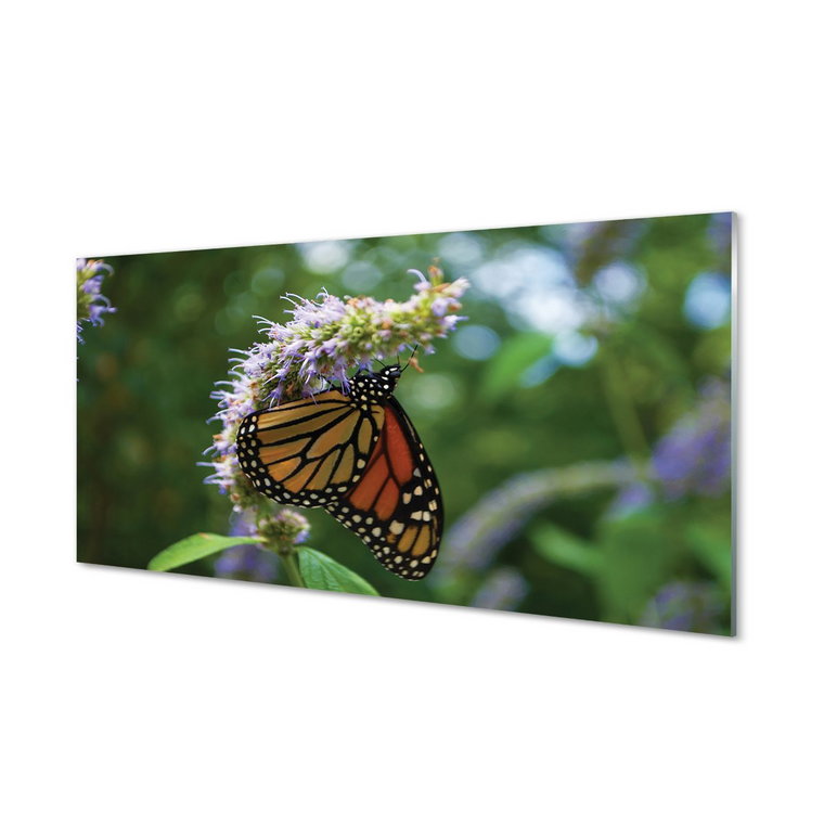 Ścienny panel kuchenny Kwiat kolorowy motyl 120x60