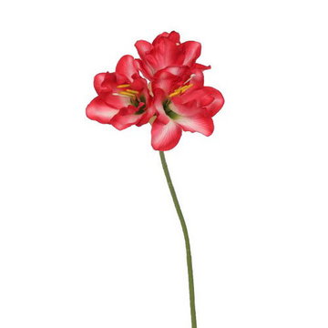 Sztuczna Amarylka czerwony, 54 cm