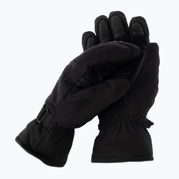 Rękawice narciarskie męskie Level Evolution Gore-Tex 2022 black