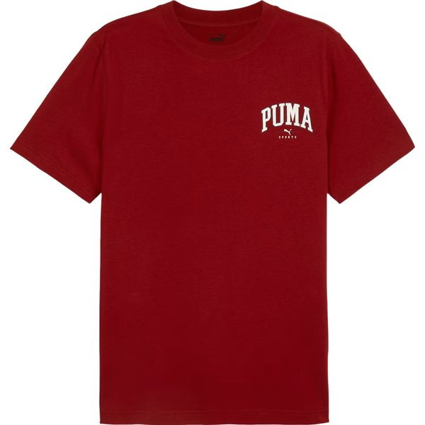 Koszulka męska Squad Small Graphic Tee Puma