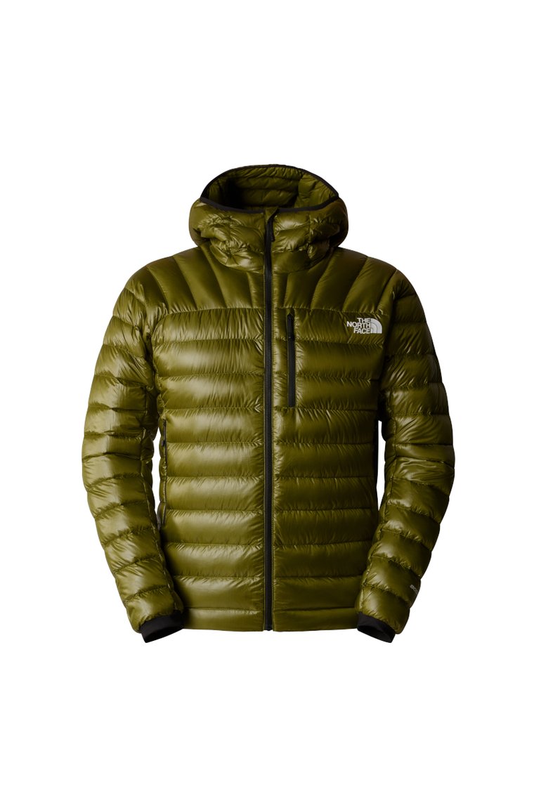 Kurtka summit breithorn hoodie-forest olive