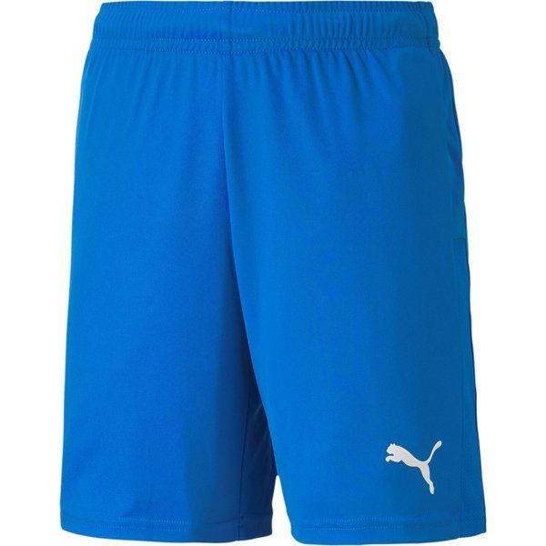 Spodenki juniorskie teamGOAL 23 Knit Puma